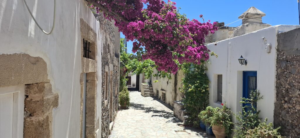 Griechenland Insider Tipps - Blick aus einem Fenster mit roten Blumen auf eine enge Gasse und das blaue Meer in einem griechischen Dorf.