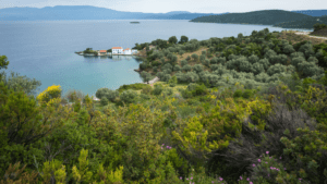 Blick auf die dicht bewaldete Halbinsel Pilion und das blaue Meer im Sommer.